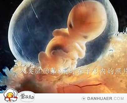 郑州助孕中心,王磊意外怀孕，没吃叶酸怎么办